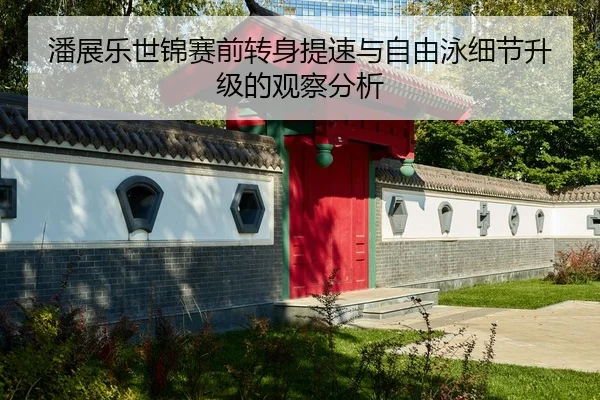 潘展乐世锦赛前转身提速与自由泳细节升级的观察分析